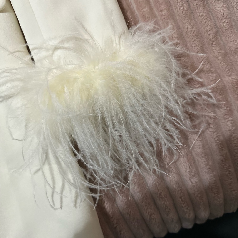 Brand NWT Blazer feather dress from Misscircle.com! It is sold out on the site
